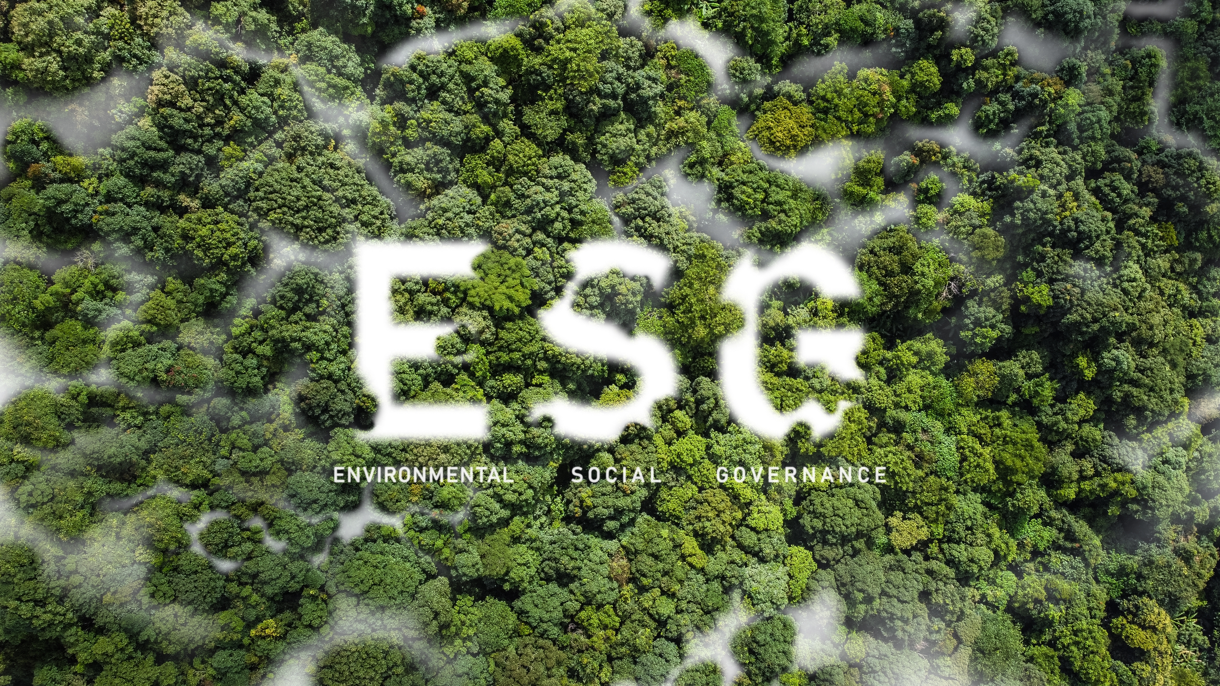 hl8¼ESG˫̼Ƽʵٵ»硰ܡ̼Чչ