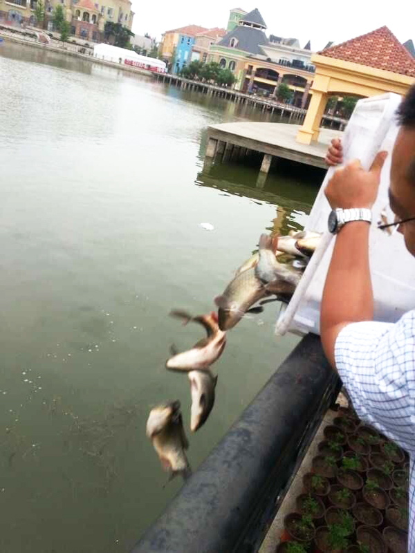 ballbet������(�й�)����ɭ����