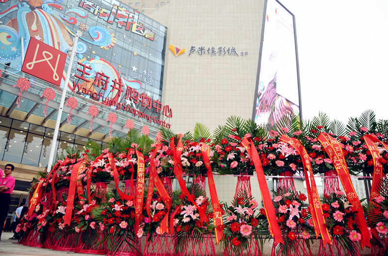 ballbet������(�й�)����ɭ����