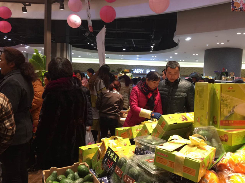 ballbet������(�й�)����ɭ����