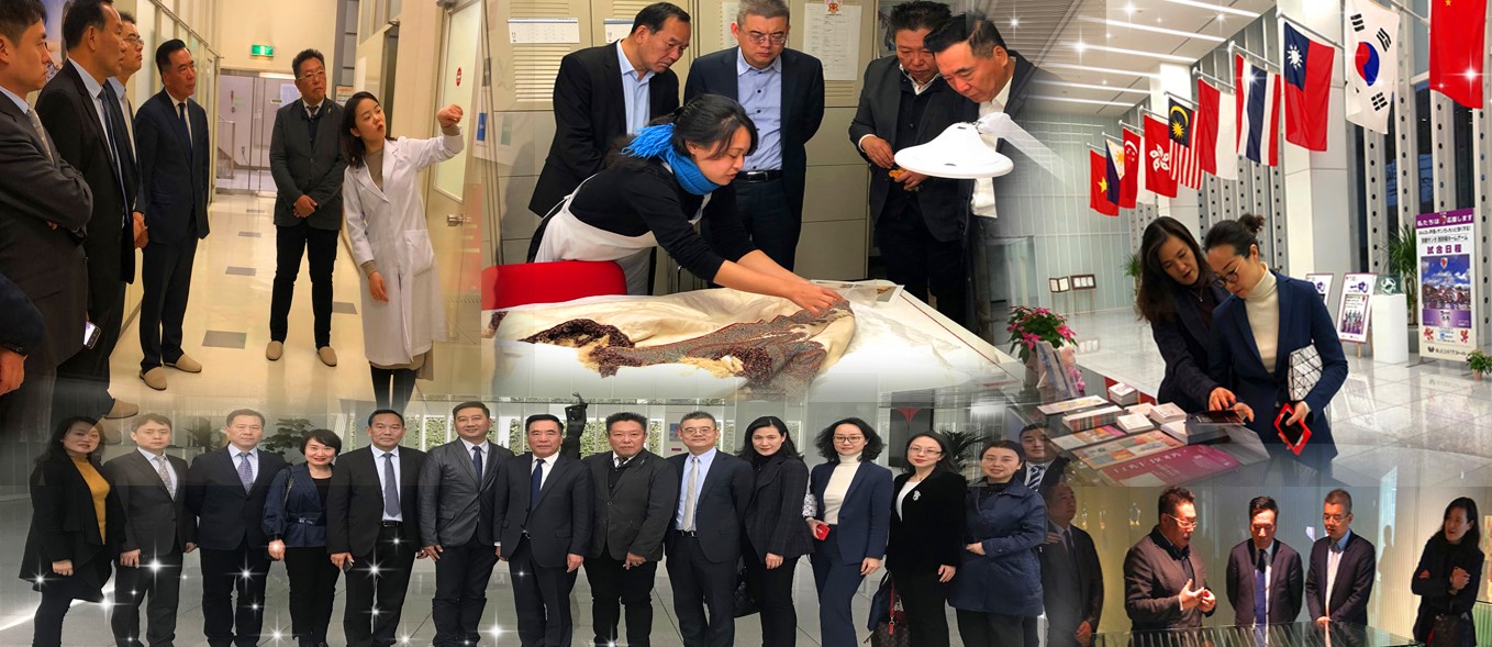 ballbet������(�й�)����ɭ����