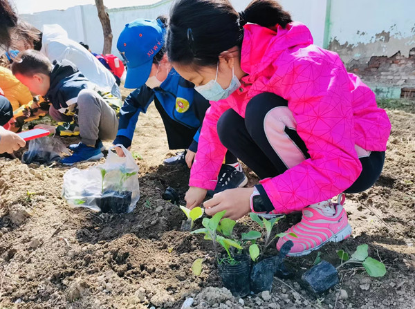 ballbet������(�й�)����ɭ����