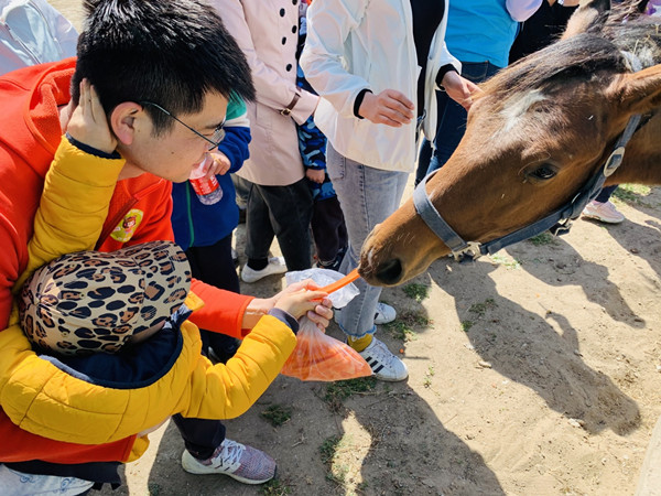 ballbet������(�й�)����ɭ����