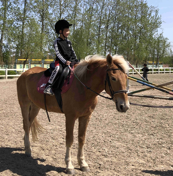 ballbet������(�й�)����ɭ����