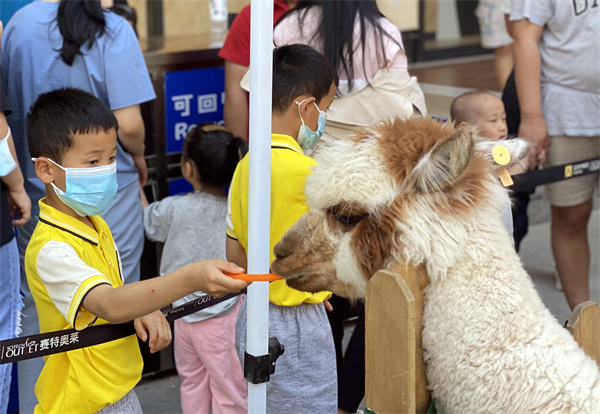 ballbet������(�й�)����ɭ����