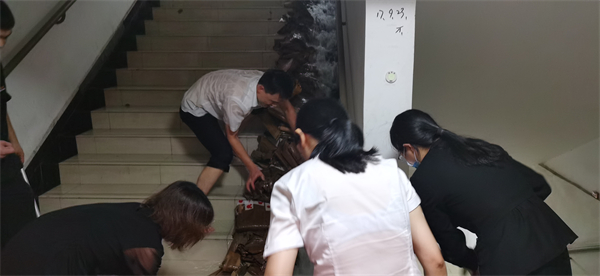 ballbet������(�й�)����ɭ����