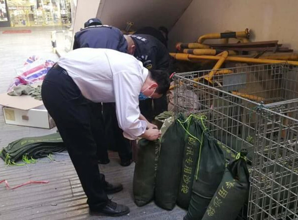 ballbet������(�й�)����ɭ����