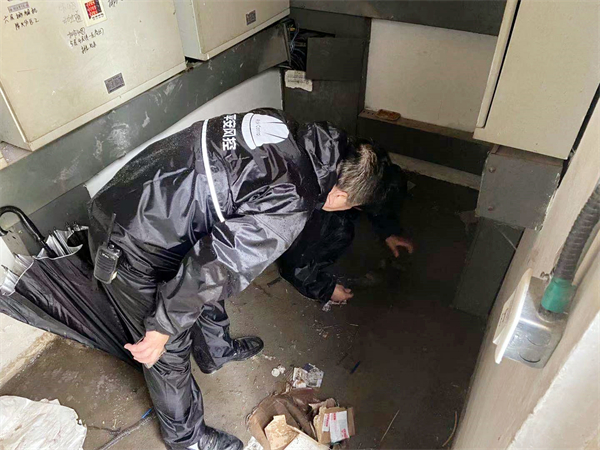 ballbet������(�й�)����ɭ����