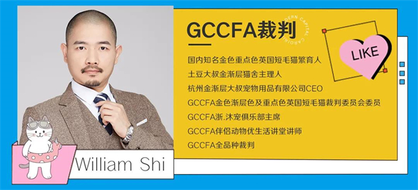 ballbet������(�й�)����ɭ����