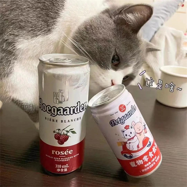 ballbet������(�й�)����ɭ����