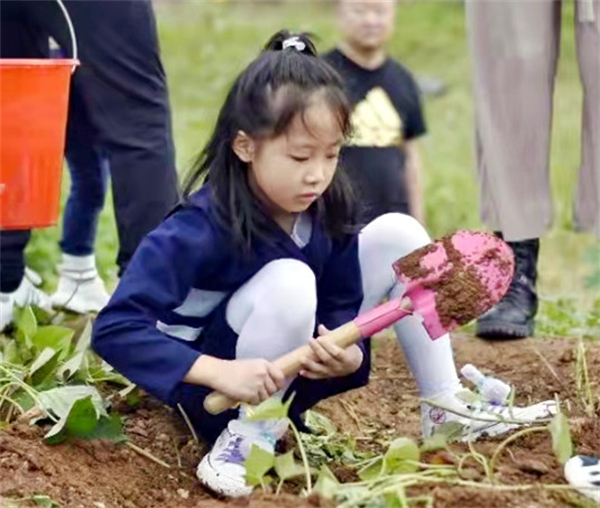 ballbet±´²©¡¤(Öйú)°¬¸¥É¹ÙÍø