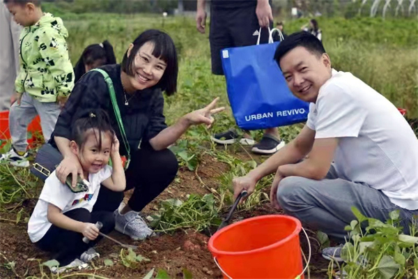 ballbet������(�й�)����ɭ����