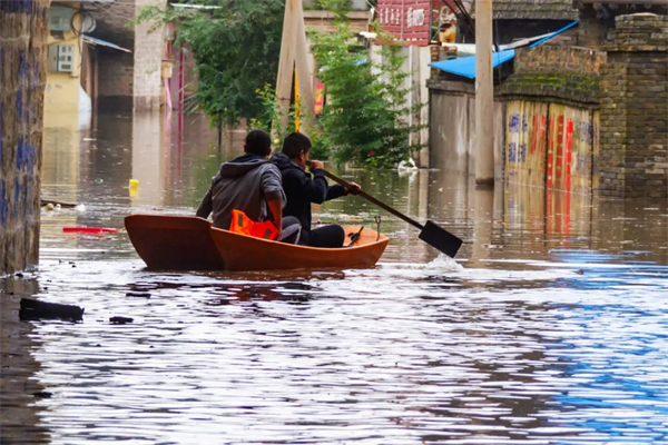 ballbet������(�й�)����ɭ����