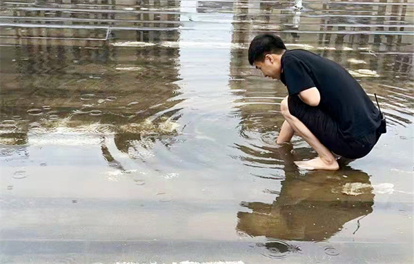 ballbet������(�й�)����ɭ����