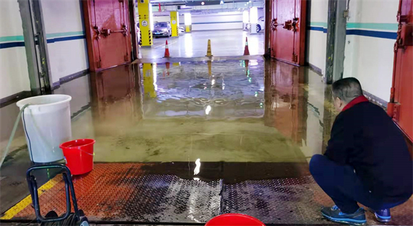 ballbet������(�й�)����ɭ����