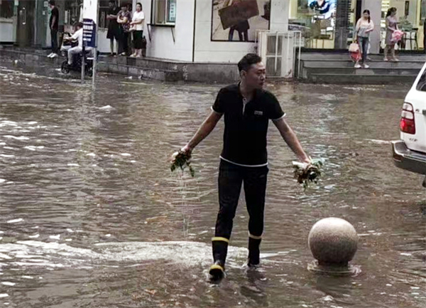 ballbet������(�й�)����ɭ����