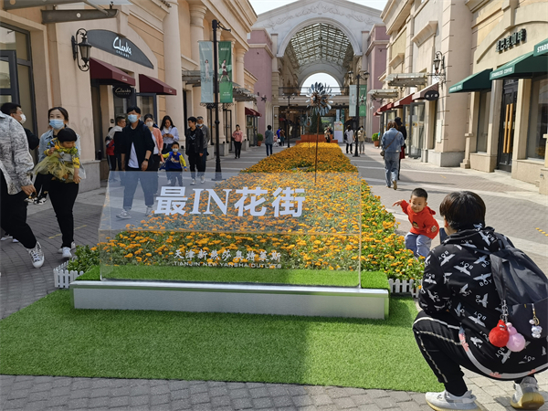 ballbet������(�й�)����ɭ����