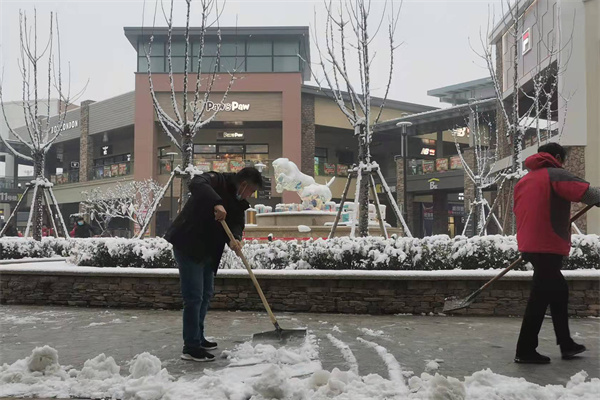 ballbet������(�й�)����ɭ����