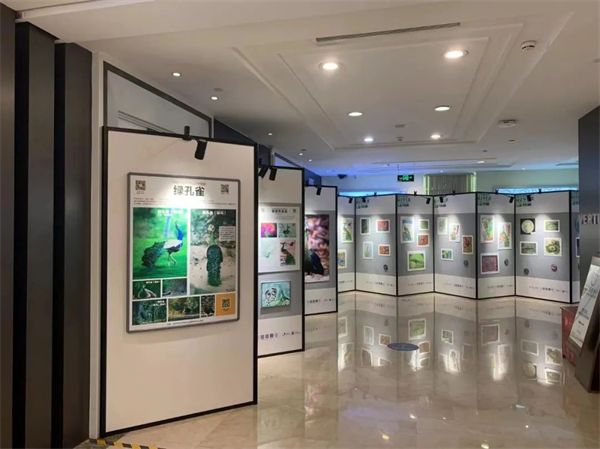 ballbet������(�й�)����ɭ����