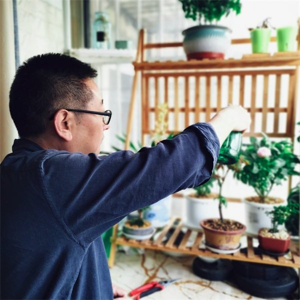 ballbet������(�й�)����ɭ����