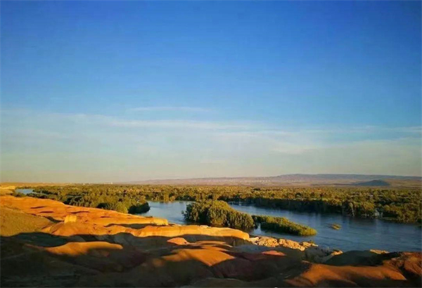 ballbet������(�й�)����ɭ����