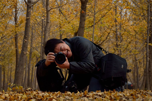 ballbet������(�й�)����ɭ����