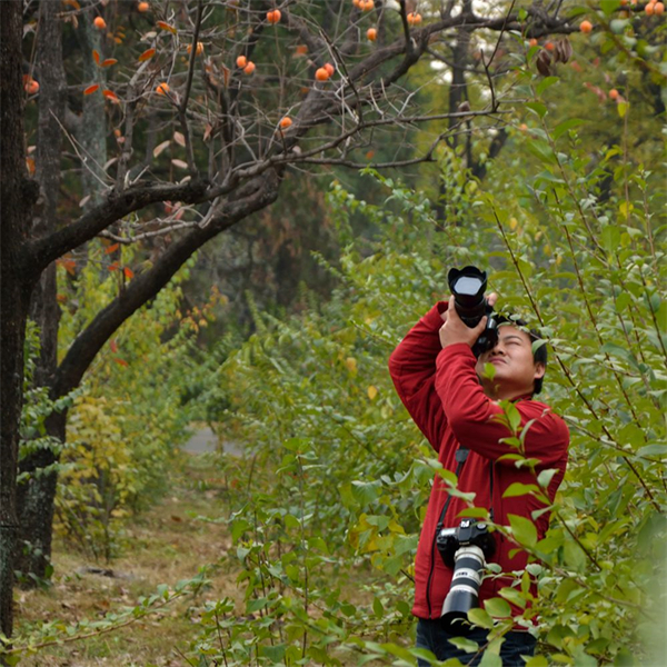 ballbet������(�й�)����ɭ����