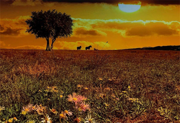 ballbet������(�й�)����ɭ����