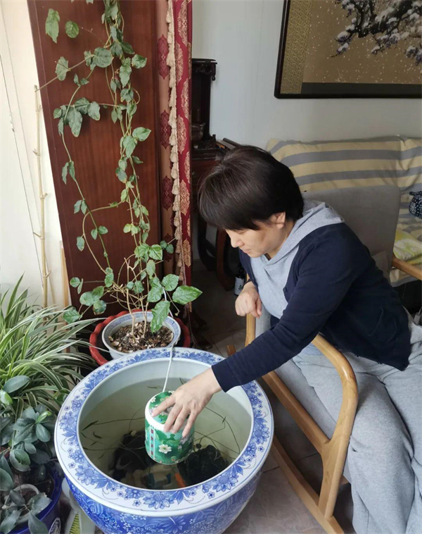 ballbet������(�й�)����ɭ����