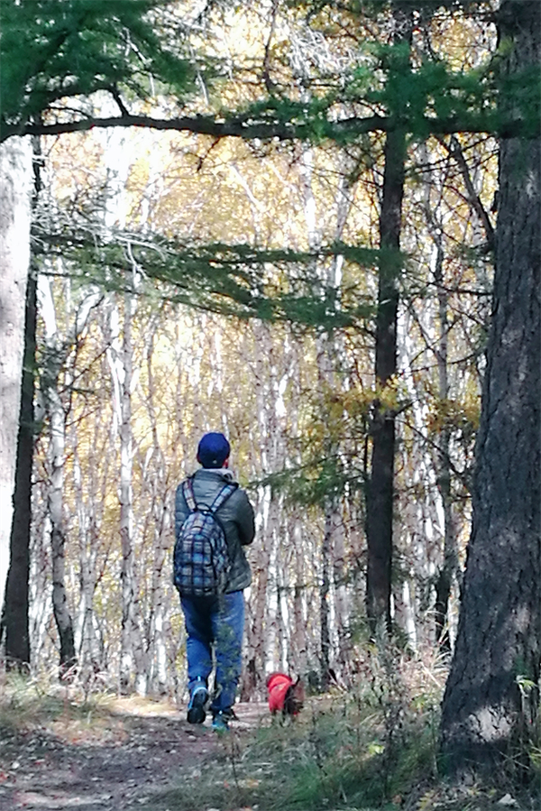 ballbet������(�й�)����ɭ����