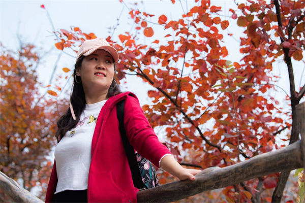 ballbet������(�й�)����ɭ����