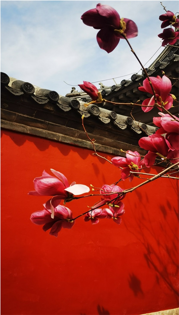 ballbet������(�й�)����ɭ����