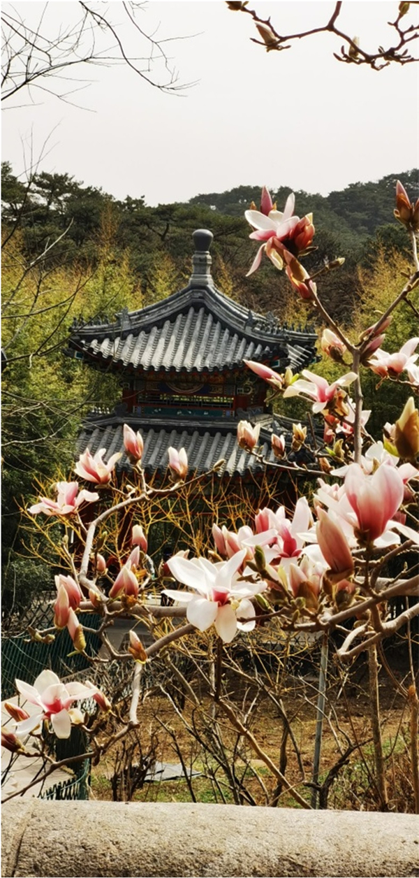 ballbet������(�й�)����ɭ����