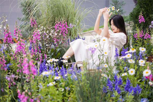 ballbet������(�й�)����ɭ����