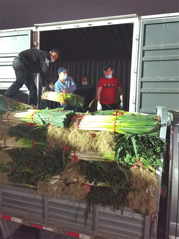 ballbet������(�й�)����ɭ����