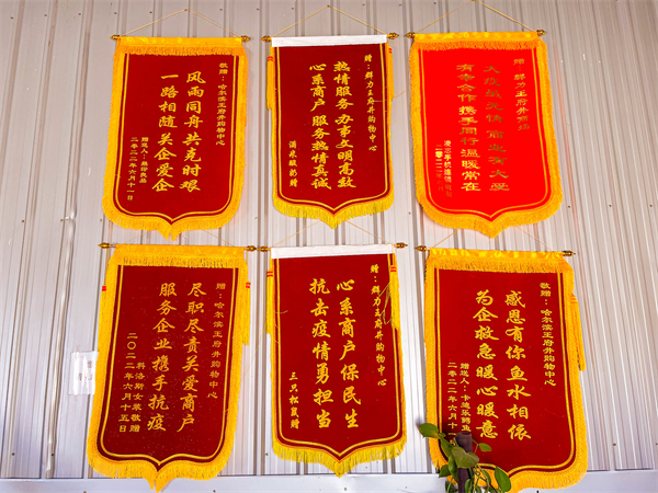 ballbet������(�й�)����ɭ����