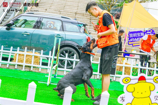 ballbet������(�й�)����ɭ����