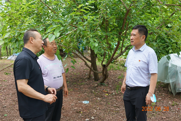 ballbet������(�й�)����ɭ����