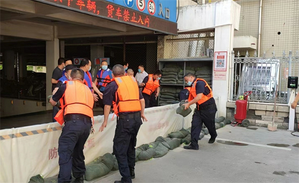 ballbet������(�й�)����ɭ����