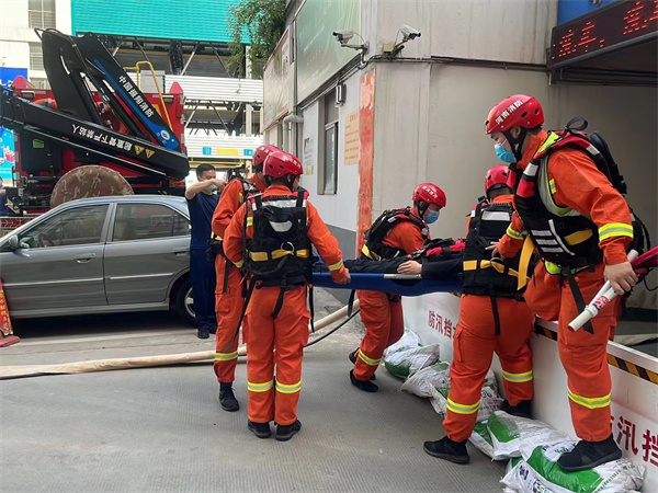 ballbet������(�й�)����ɭ����