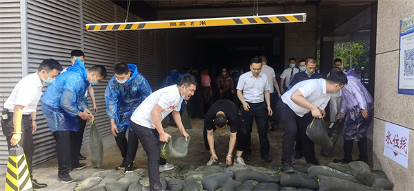 ballbet������(�й�)����ɭ����