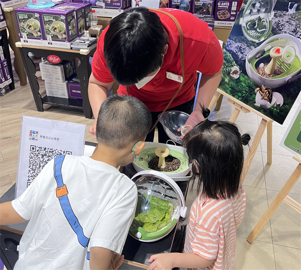 ballbet������(�й�)����ɭ����