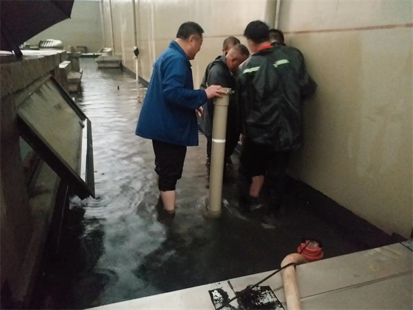 ballbet������(�й�)����ɭ����